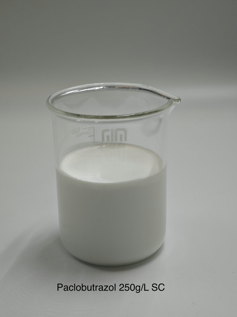 Paclobutrazol 250g/L SC
